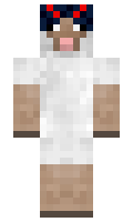 kinkin minecraft skin