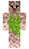 4poking minecraft skin