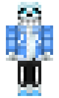 adityap minecraft skin