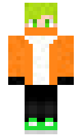Neko17 minecraft skin