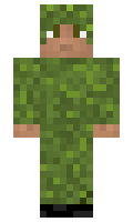 ab5799046c7834 minecraft skin