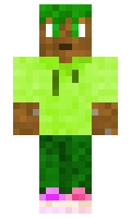 lcpdc minecraft skin