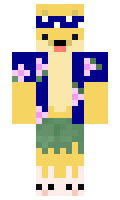 Aussi minecraft skin