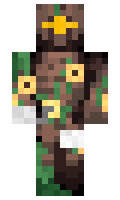 ab9a17bfe3ec2a minecraft skin