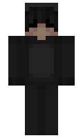 hvsl minecraft skin