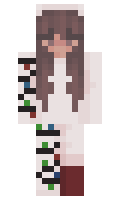 abceb580ad5541 minecraft skin