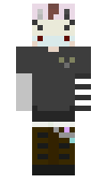 ajaxplayz minecraft skin