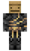 SaveHill minecraft skin