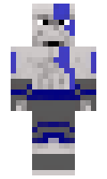DinisTC minecraft skin