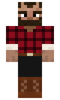 Asker minecraft skin