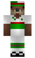 Amiinos minecraft skin