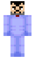 ladavojtisek minecraft skin