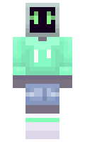 1294 minecraft skin