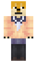 ace13789ff3c64 minecraft skin