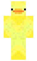 rrrokas minecraft skin