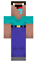 ad09f1c5041e27 minecraft skin