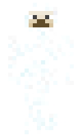 42twentyfour minecraft skin