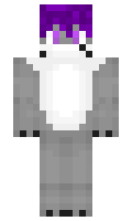 ad4c3ce578669e minecraft skin