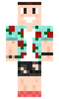 Robz minecraft skin