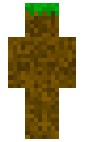 ayyan minecraft skin