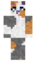 ae00f0095a9ded minecraft skin