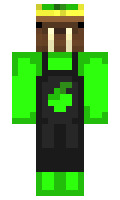 ae1a3629bb164e minecraft skin