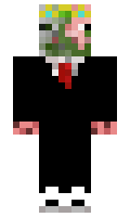PyetHeyn minecraft skin