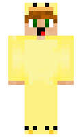 knasbollen2010 minecraft skin