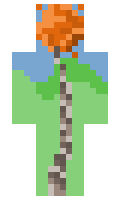 ae57367af1b038 minecraft skin