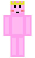 po123 minecraft skin