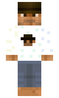 ae730c39effc71 minecraft skin