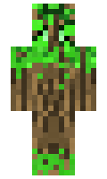 ae7d2360840754 minecraft skin