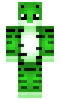 2129 minecraft skin