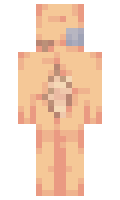 Darilivo minecraft skin