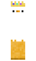 duckking27 minecraft skin