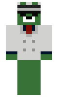 Vikhedgehog minecraft skin