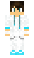 MasterRoyale minecraft skin