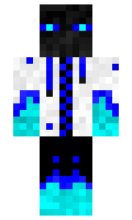 NiceCat minecraft skin