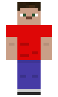 dagnel minecraft skin