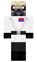 MobTheRemover minecraft skin