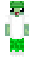 aee3fc67433643 minecraft skin