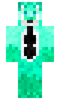 CJPom minecraft skin