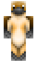 rrre minecraft skin