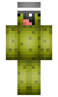 Straiker minecraft skin