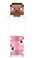 Arhitectu minecraft skin