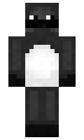 rony minecraft skin