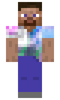 af6abbc7556a14 minecraft skin