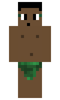 af72cad9a56fcd minecraft skin