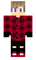 GAMERT10295 minecraft skin