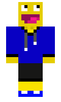 werder minecraft skin